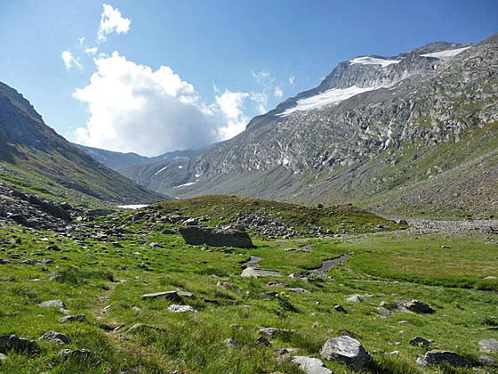 Beautiful meadows along the trail 