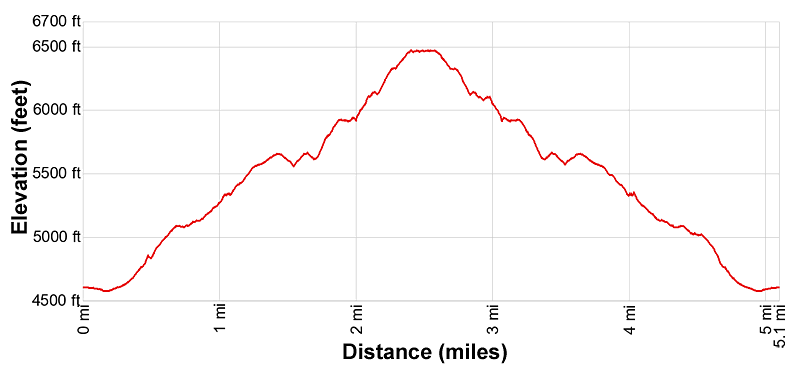 Elevation Profile - Bear Mountain trail