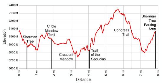 Giant Forest Loop Elevation Profile