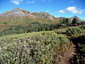 Colorful ridge at the head of North Lime Creek.