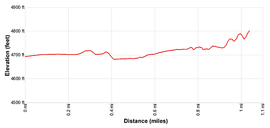 Elevation Profile for the hike to Cold Springs Cave Ruin