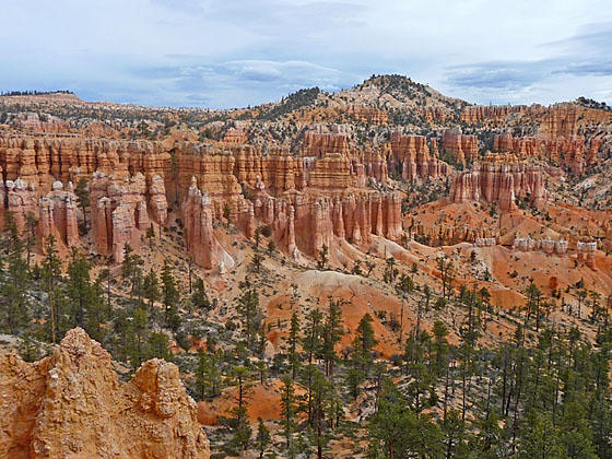 Fairyland Canyon 