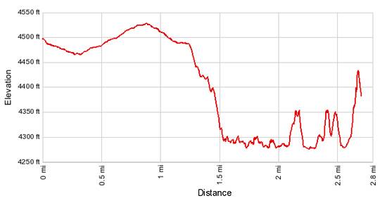 Elevation Profile - Lower Butler Wash