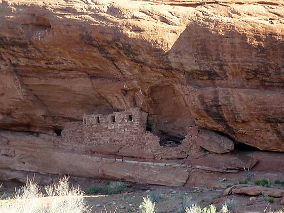 Looking across the canyon at ruins tycked in an alcove beneath a large overhang