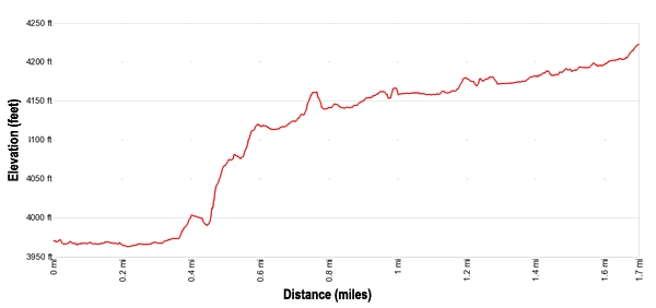 Elevation Profile - Moki Mesa