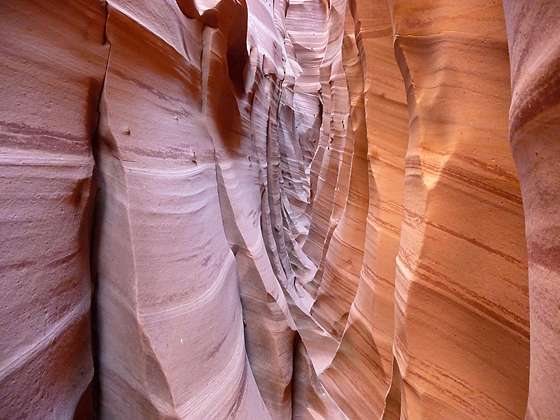 Zebra Canyon slot 